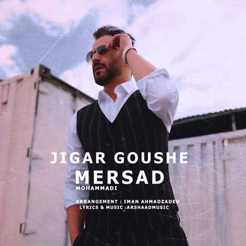 Mersad Jegar Goushe